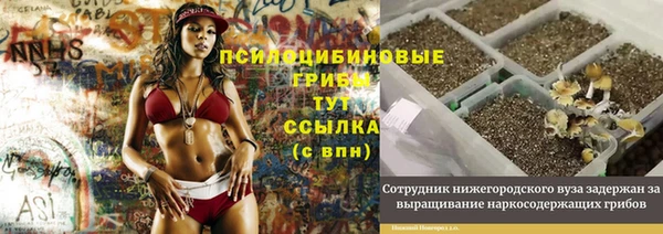 меф Дмитровск